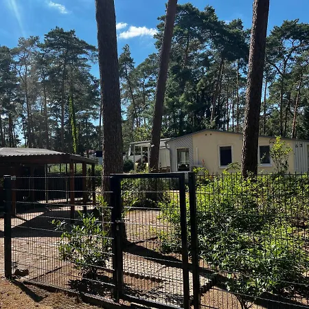 Waldidyll Prázdninový dům